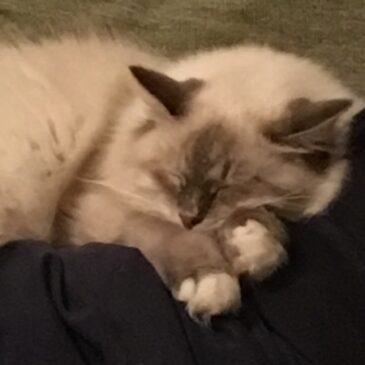 How to improve your sleep